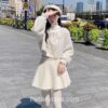 Softie Winter Kawaii White Velvet Fairycore Mini Skirt 9