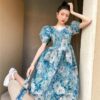 French Vintage Print A-line Puff Sleeve Fairycore Retro Dress 4