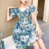 French Vintage Print A-line Puff Sleeve Fairycore Retro Dress 1
